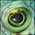 Augenblick eines Antillen-Igelfisches Acryl auf Leinwand;
30 x 30 cm